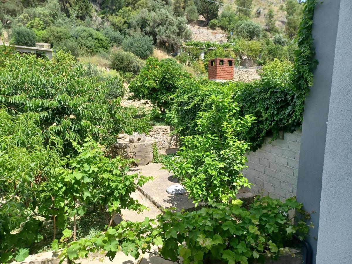 Andrea Apartman