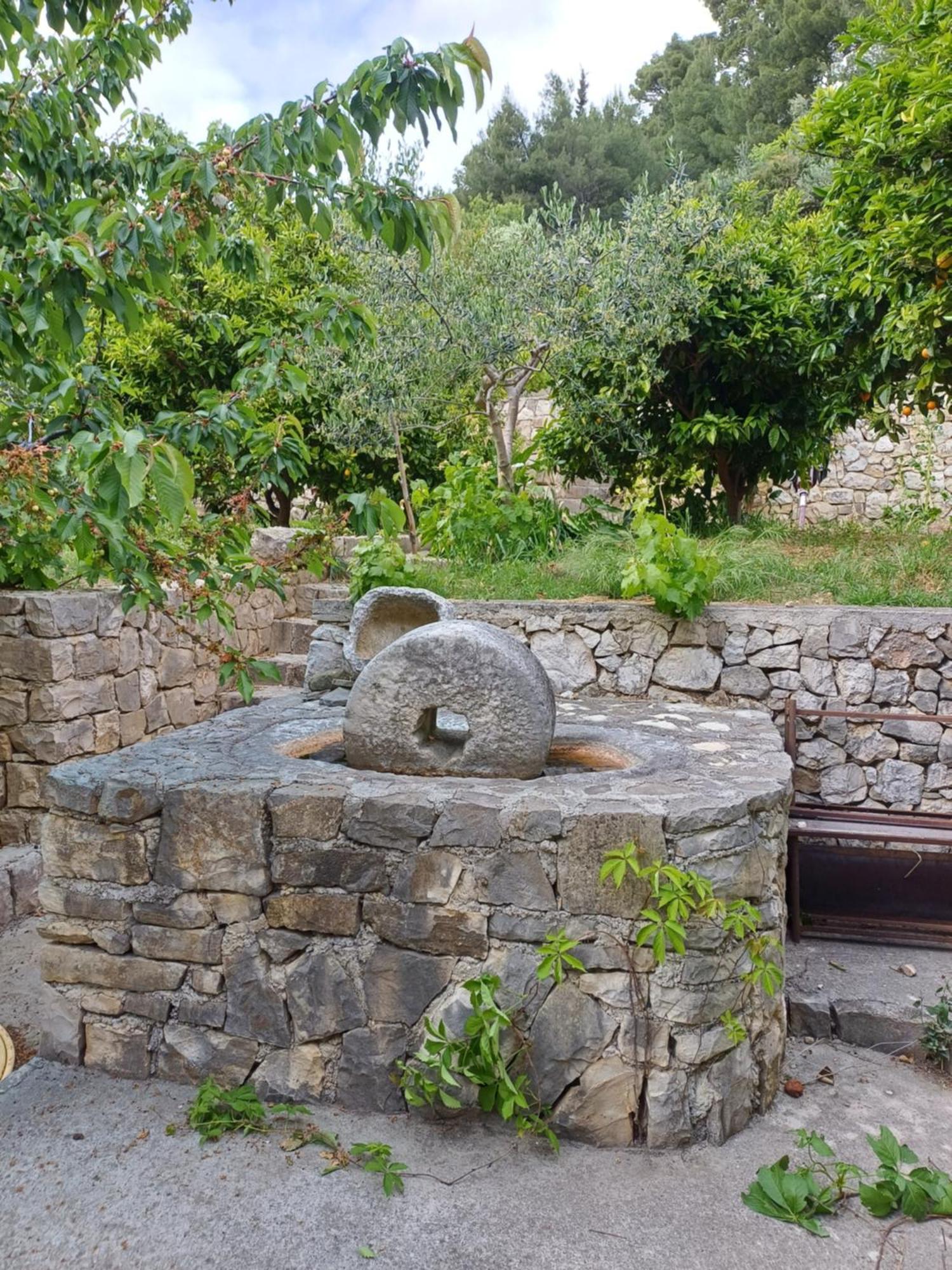 Andrea Jesenice (Split-Dalmatia)